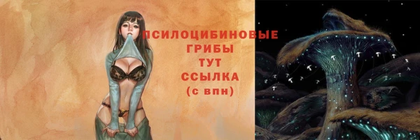 ALPHA PVP Алексеевка
