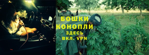ГАЛЛЮЦИНОГЕННЫЕ ГРИБЫ Алексин