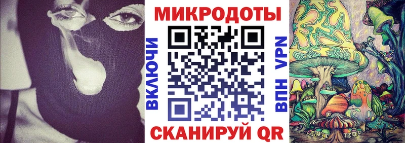 Псилоцибиновые грибы Magic Shrooms  Пласт 